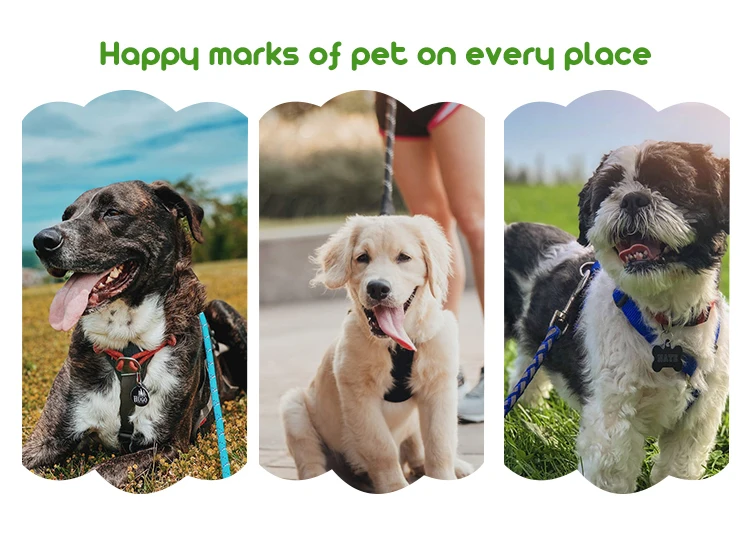 DogLeash_DetailPage_06_01