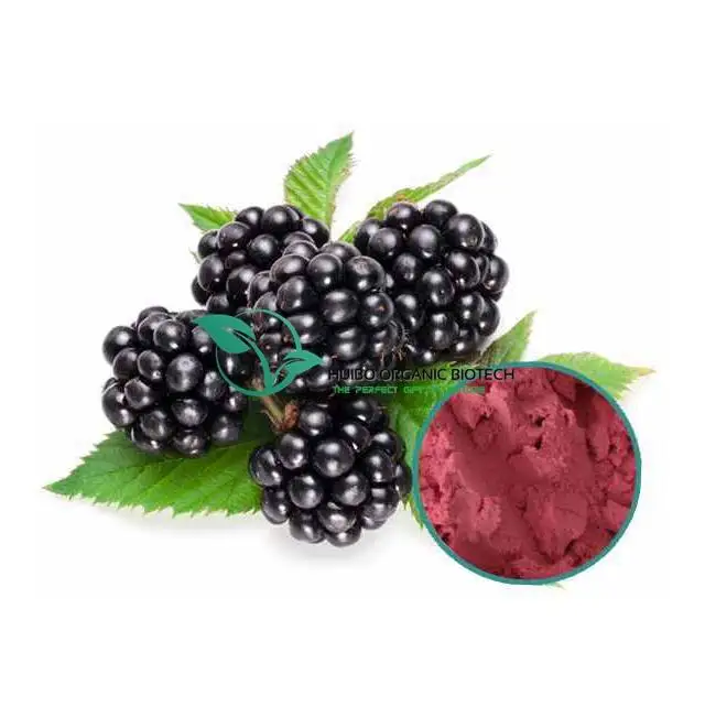 Blackberry powder/Мгновенный порошок blackberry для напитков