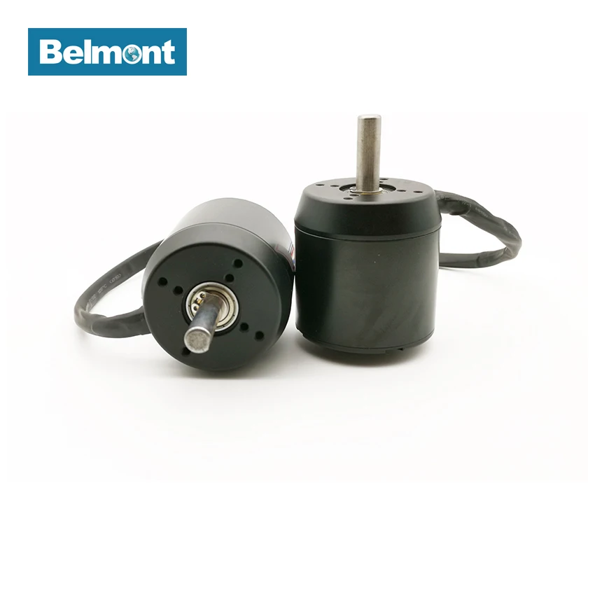 BLM-6384 24V 36V DC Electric Brushless Motor 5000 rpm for electric skateboard,  propeller, electric scooters, surfboard BM-135