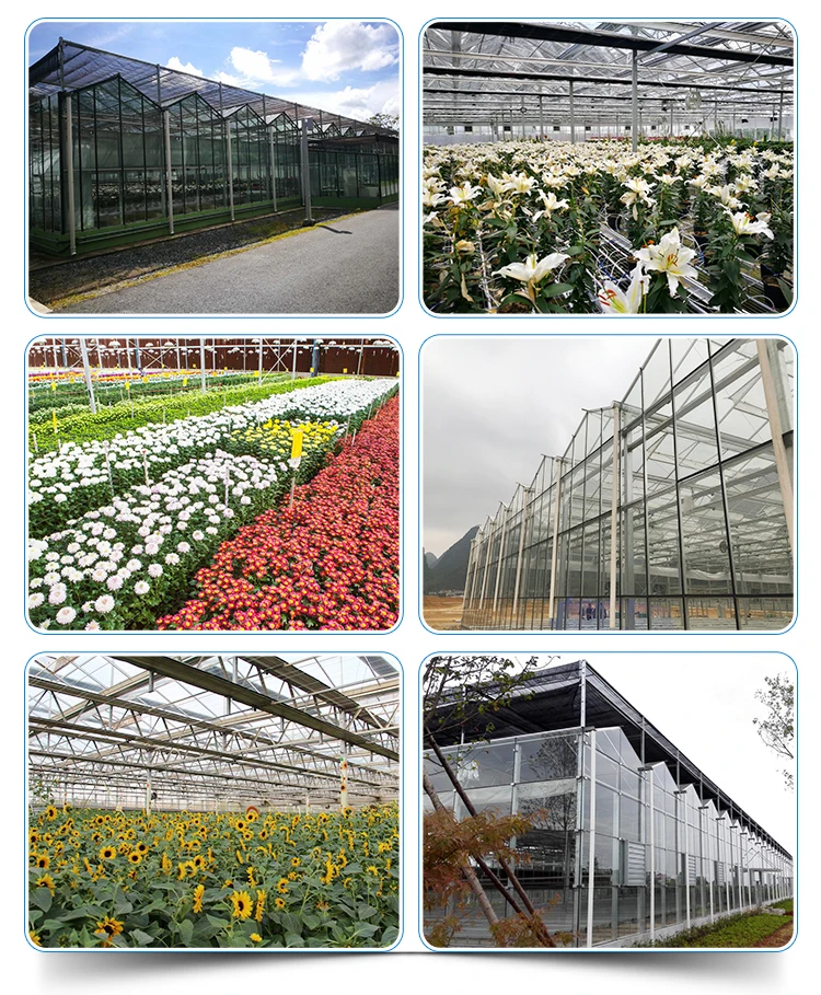 Flower-Glass-Greenhouse_15.jpg