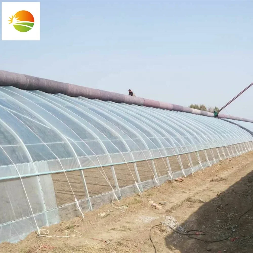 Китай теплица с задней стенкой зима теплый Солнечный нагрев теплицы для сельского хозяйства