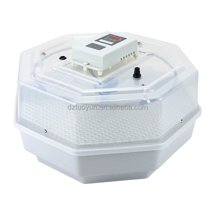 TUOYUN Good Quality Eggs Capacity Small-sized Incubator Jn2 60 Egg Incubator Manual