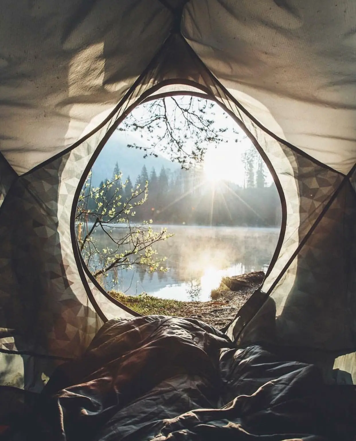 115gsm 190t coated with pa pu pvc 100% polyester taffeta for cloth fabric