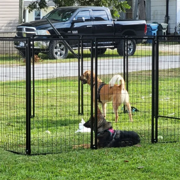 Dog kennel heavy duty  large dog kennel stainless steel