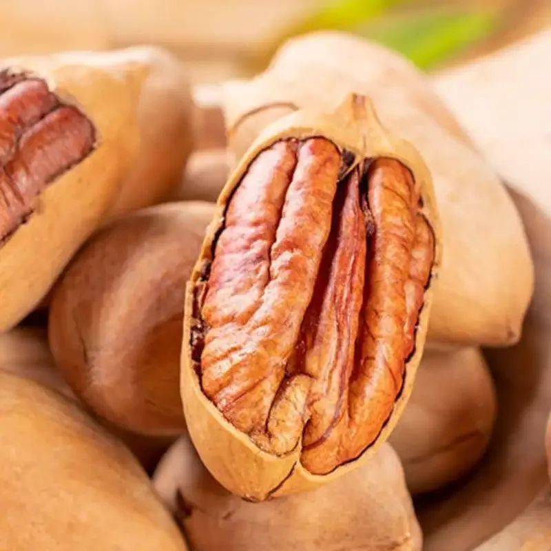 Высококачественные дешевые орехи пекан, оптовая продажа органических Орехов Пекан