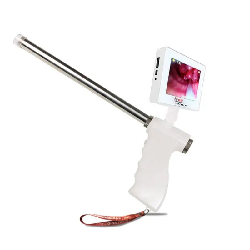 Artificial Veterinary Insemination Instrument for Dogs AI Visible Artificial Insemination Gun