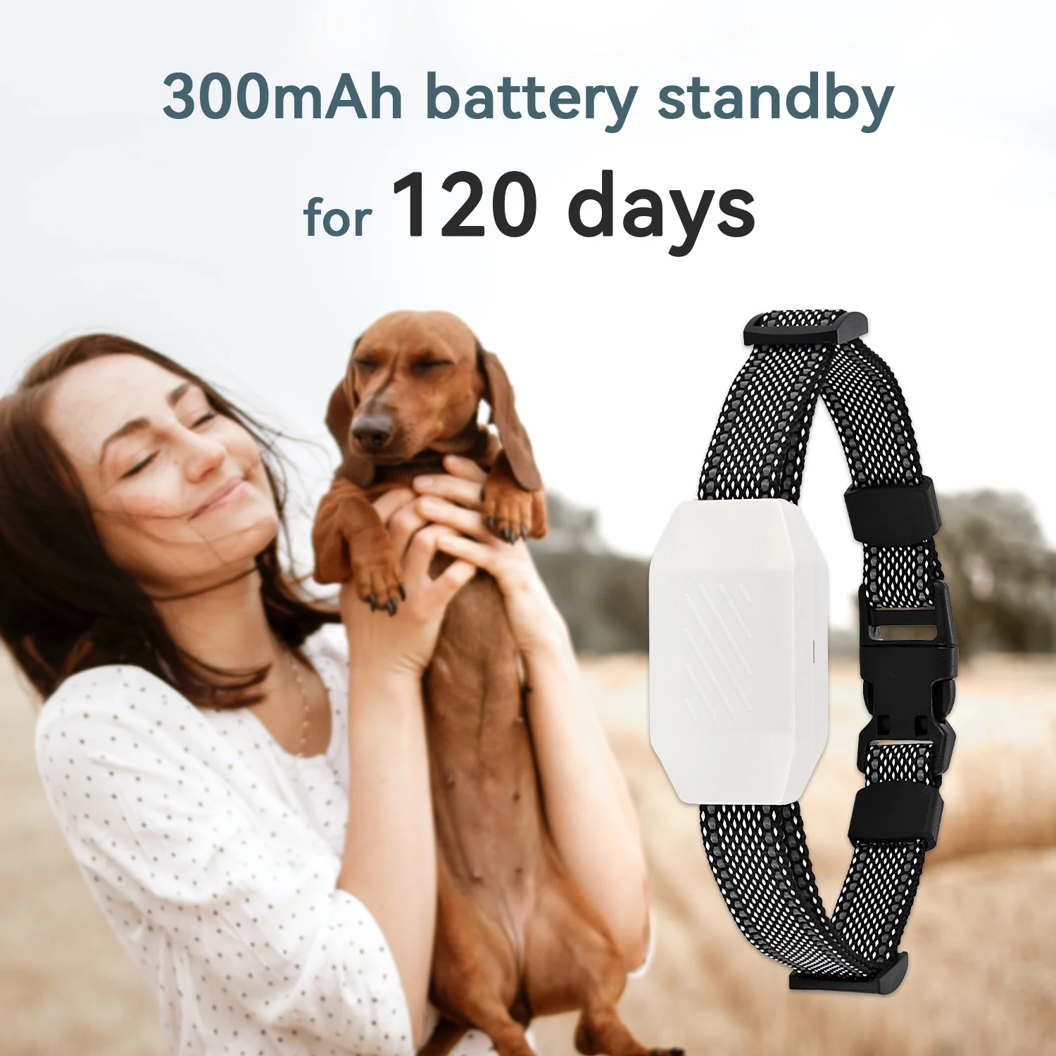 Anti-bark Dog Collar Beep Vibration Barking Control Collar No Shock No Bark Collar for Dog Training