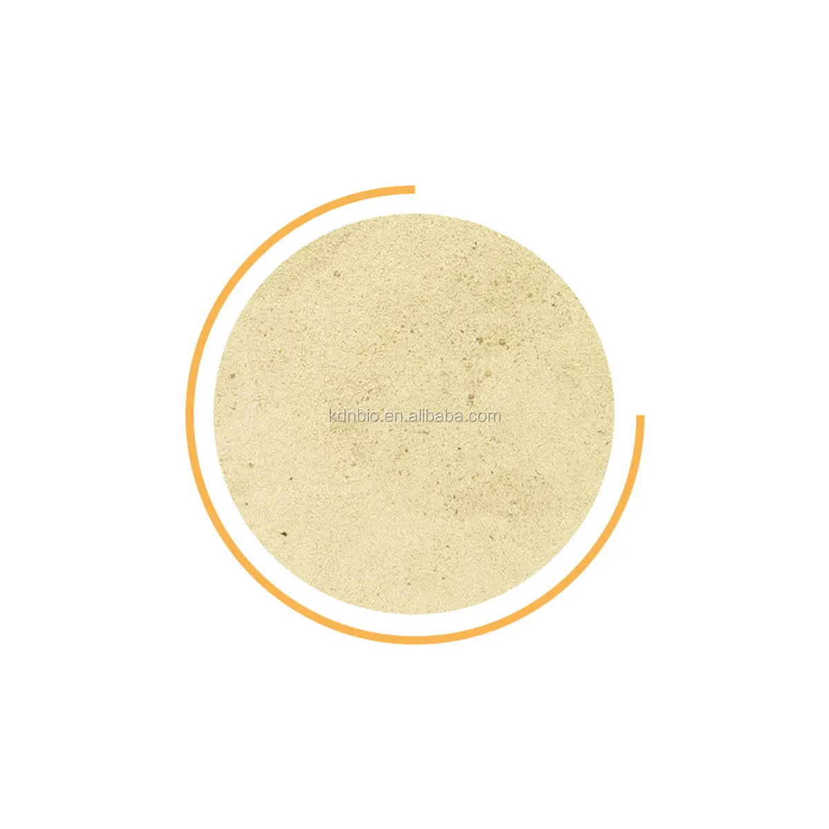 Hot Sell Neutral Protease Extracted from Bacillus Subtilis Neutral Protease Price 9068-59-1