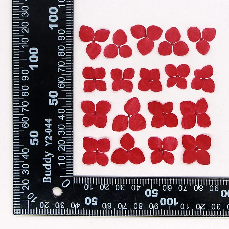 Wholesale Diy Handmade Nail Art Material dried flowers pressed Anna hydrangea flower for Bookmark and Phone case