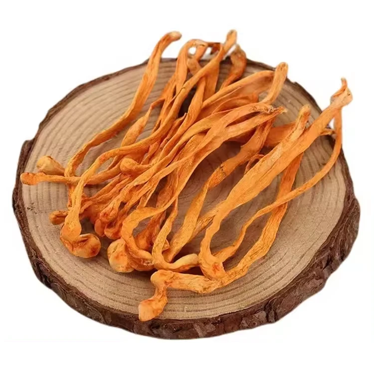 High quality cordyceps mushroom dry wholesale price
