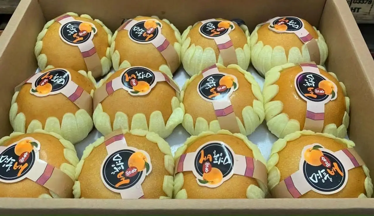 korea fresh singo pear for 24-30