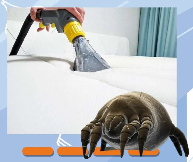 Home Steam Cleaning Machine, used for cleaning sofas, carpets, and air conditioners