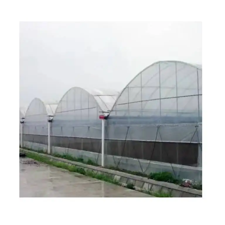 High Quality Commercialized Agricultural Film Greenhouse Intelligent Glass Multi Span Greenhouse