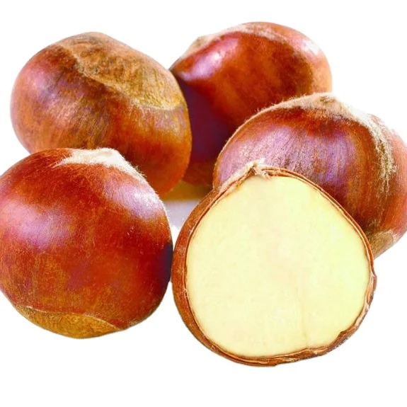 Лидер продаж, новинка, оптовая продажа, свежие моркови, экспорт китайского свежего каштана