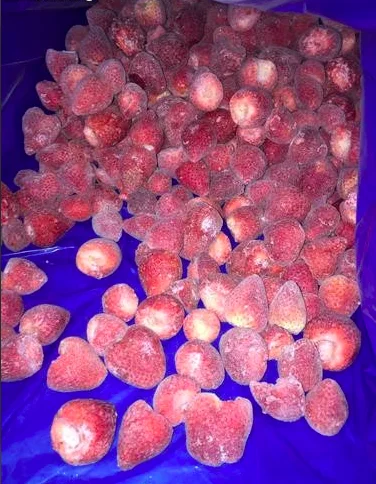 Wholesale high quality purchase specification fresh whole sweet tomatoes