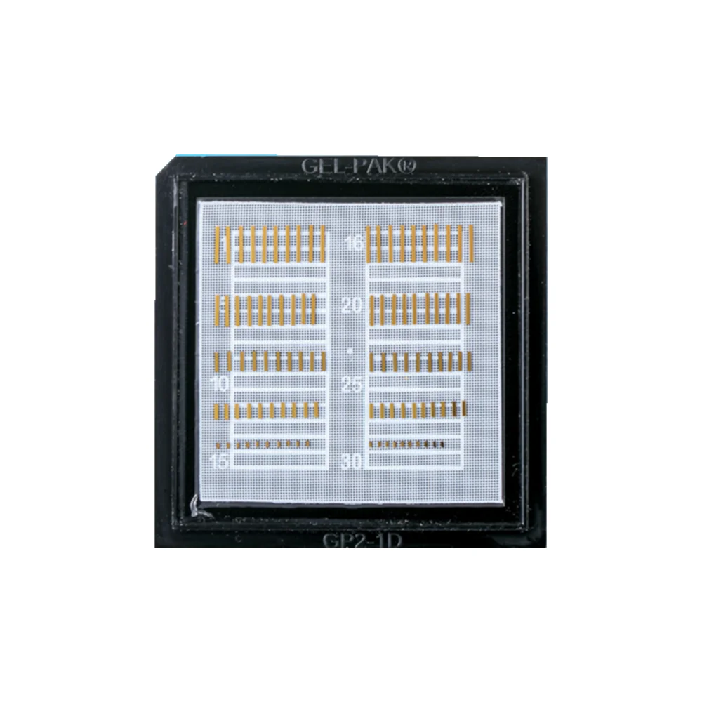 Original 638nm 1W Laser Diode LD chip RB-638A-110-1-1.5-SE