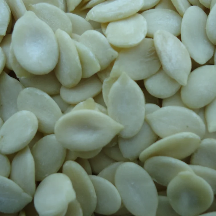 Black Watermelon Seed