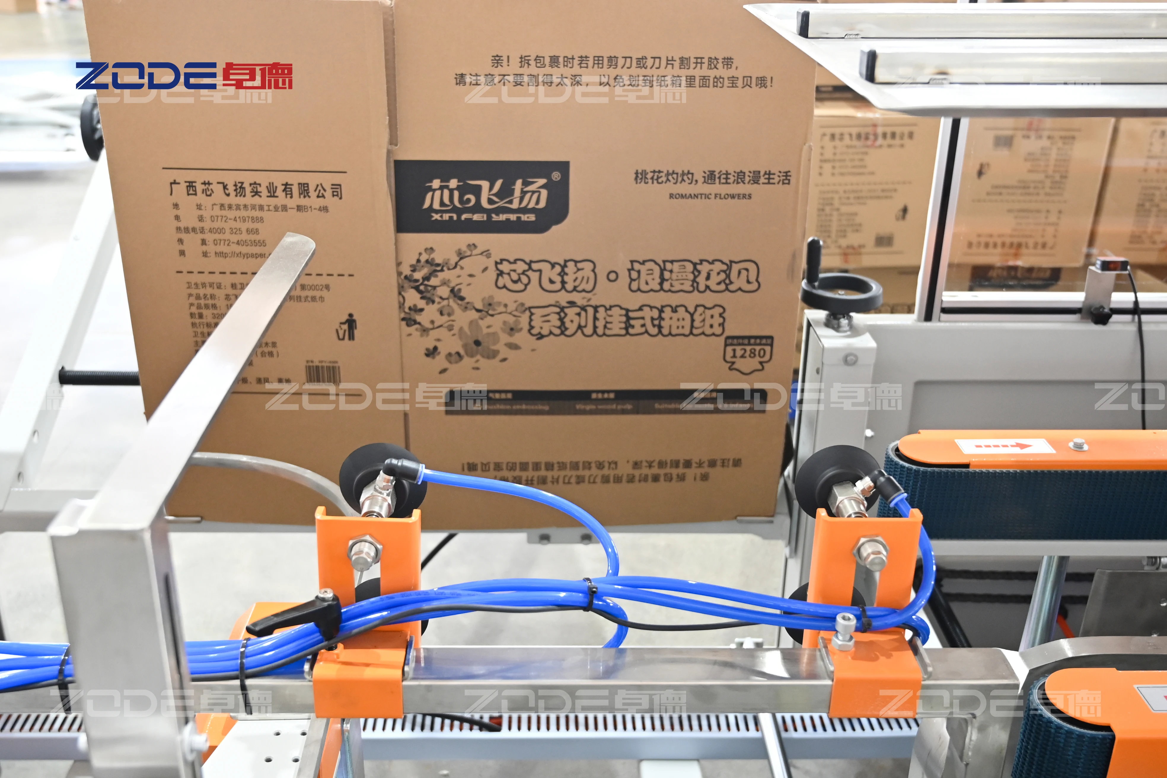 ZD-ZX20 Automatic Case Packing Machine Facial Tissue Paper 20 Beats Time Packing Machine