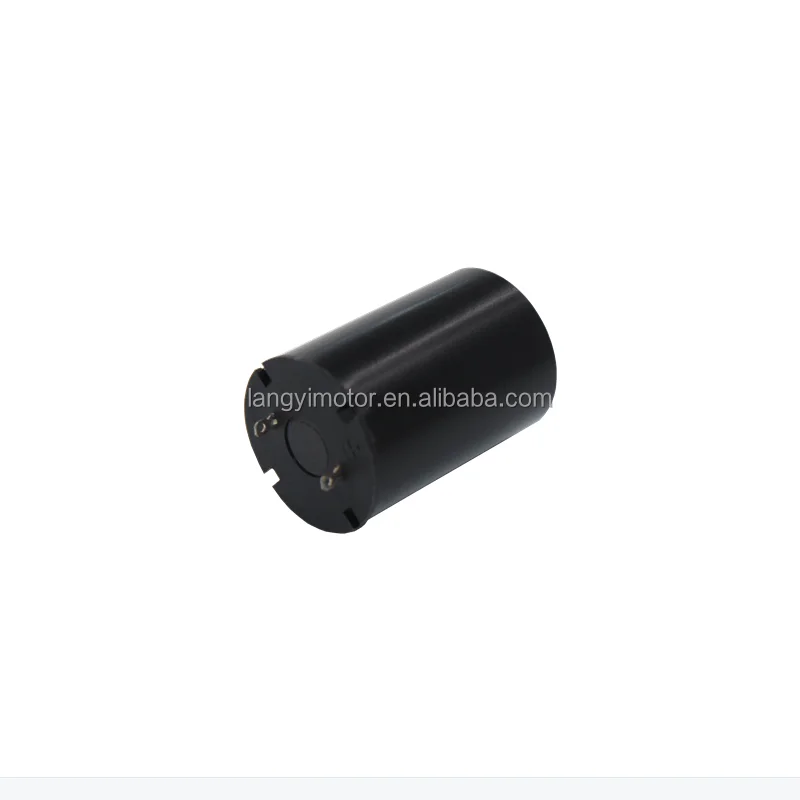 17Mm Customized High Rpm 12V Dc Electric Brush Motor For Steering Servo Robots Tattoo nail machine