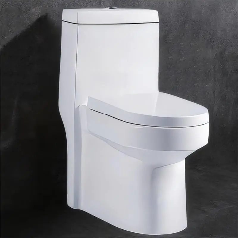 Custom inodoro largo S-Trap Hospital Concealed Cistern Washroom Close Coupled Commercial Toilets Concealed Flush Tank Toilet