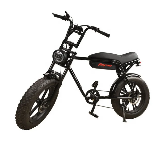 2024 hot sale 500 watt 48v fat tire mountain electric ebike bicicletta elettrica Adult full suspension electric motorcycle
