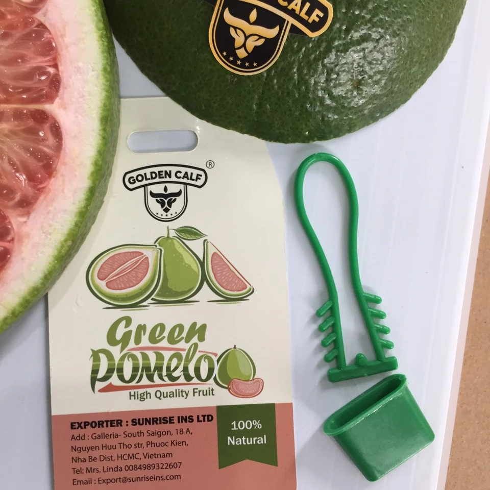 Best Vietnam Citrus Fruits New Crop Fresh Pomelo Vietnamese Grapefruit Green Skin Pomelo For Sale- WA LINDA +849893322607