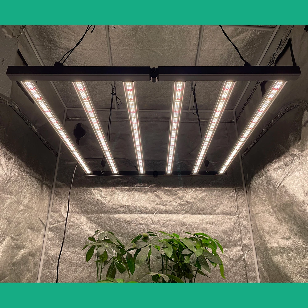 LM301B LED Grow Light Spectrum Colour High PPF EVO 2000 Customizable Wattage IP65 720W for Plant Growing 700W for Bloom