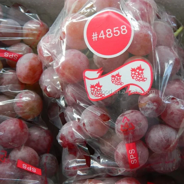 Fresh High Quality Export Supplier Fresh Red Globe Grapes