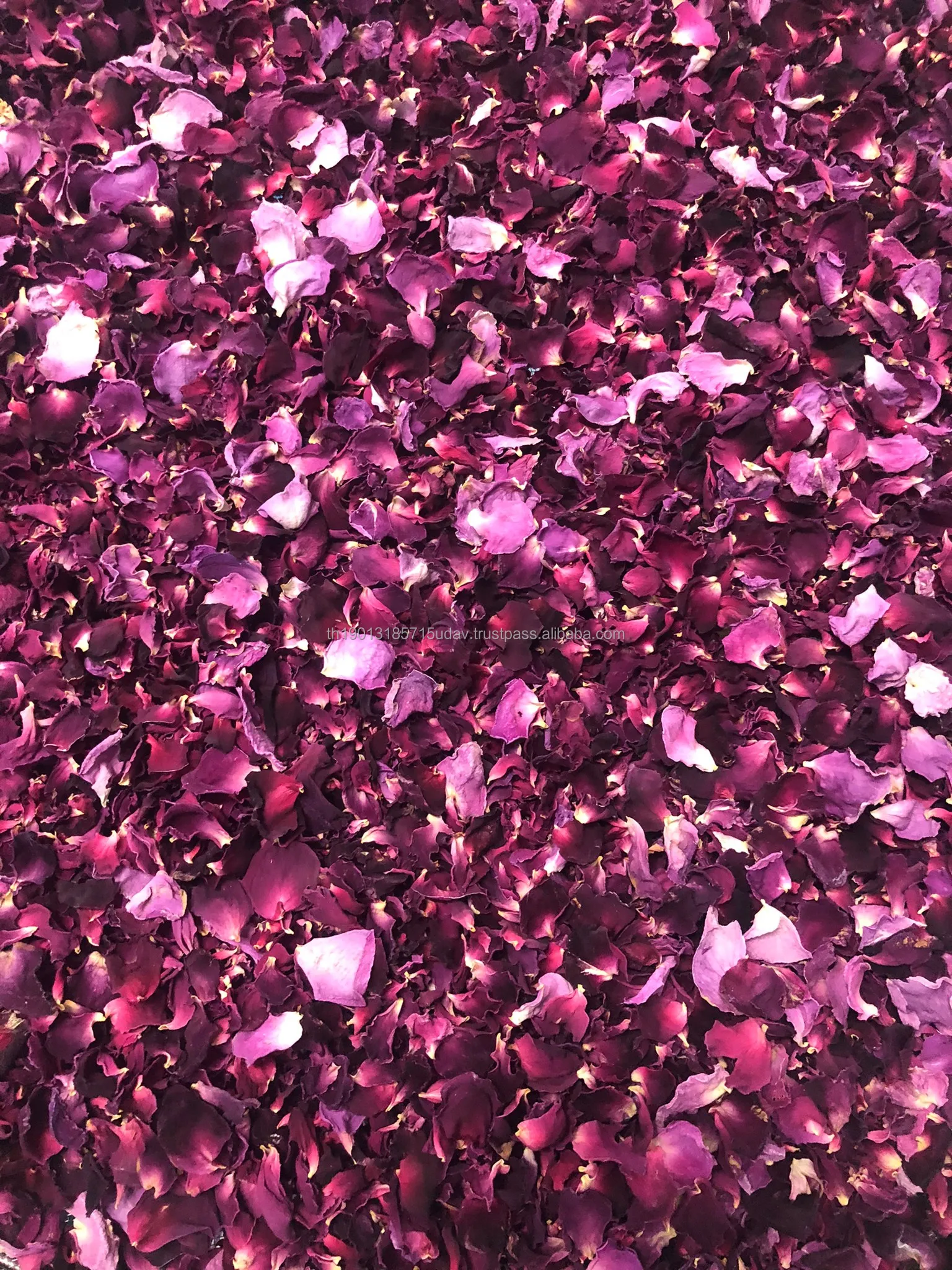 High Quality Premium Organic Rose Petal Tea From Thailand Beauty Health Care Product Dried Rose Flowers