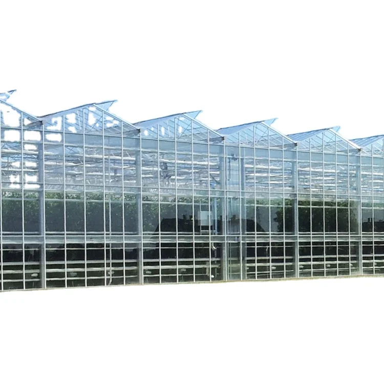 One one Large Venlo glass Greenhouse Agricultural  Glass Green house for commerical greenhouse