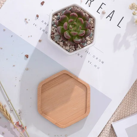 Шестигранные маленькие белые горшки для суккулентов с бамбуковым лотком, геометрический контейнер-держатель для растений С КАКТУСОМ