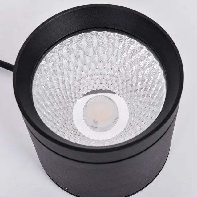 10-20W IP65 Die Cast Aluminum Outdoor Ceiling Surface Mounted LED Down Light