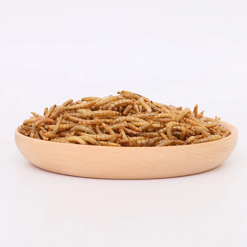 High-quality protein dry mealworm animal feed reptile protein dried mealworm