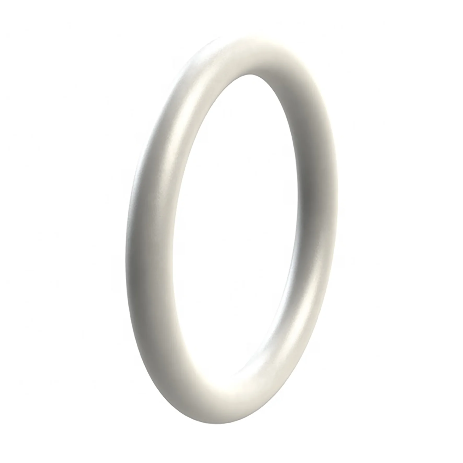 custom plastic PTFE  O-RING