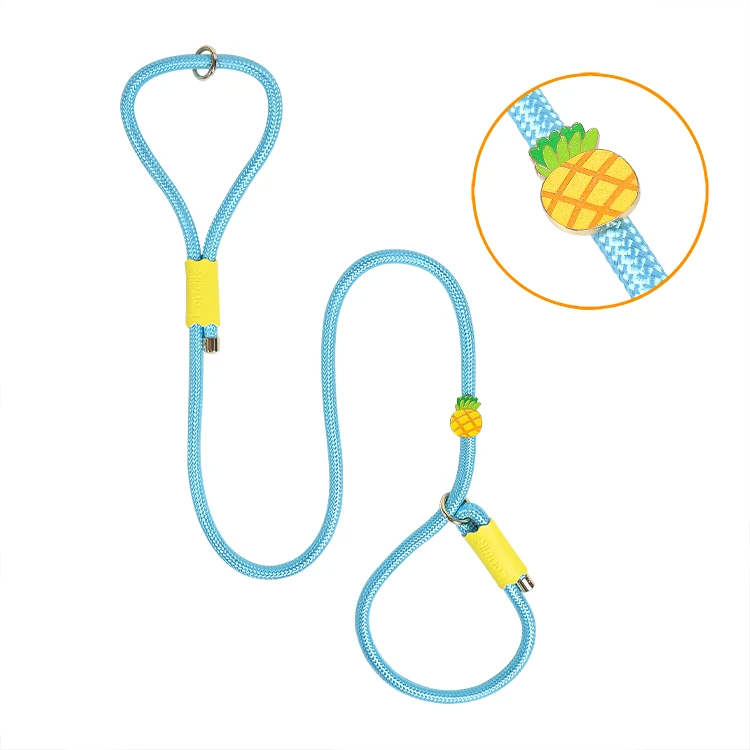 Loudik Wholesale Manufacturer Personalized Stock Western Style Quality Nylon Rope Pet Collar Leads Accessories Luxury Dog Leash