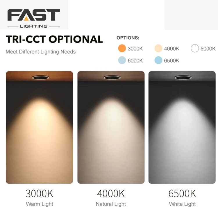 FAST Factory Custom Die Casting Aluminum Indoor Ceiling Commercial 5W Body COB LED Spotlight