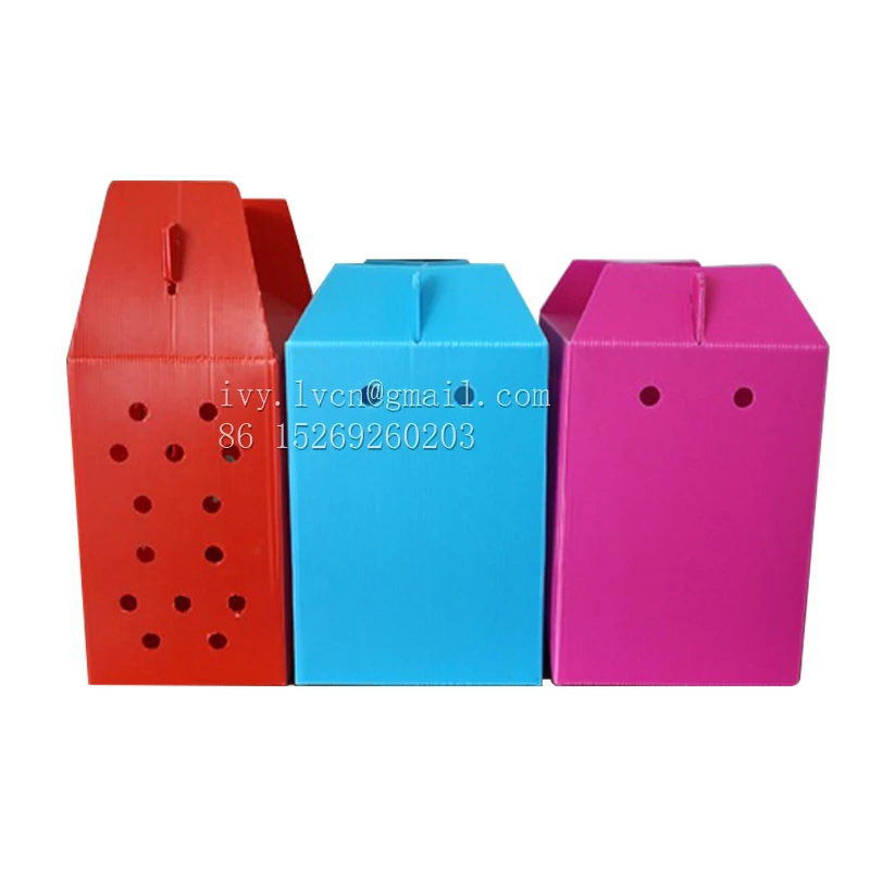 Factory Price Corrugated Plastic Bee Hive, Corflute Bee Hive