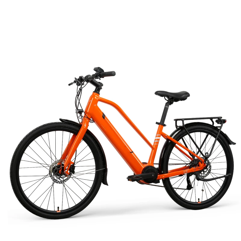  Индивидуальные 26 дюймов 36v 250w электрический велосипед для
