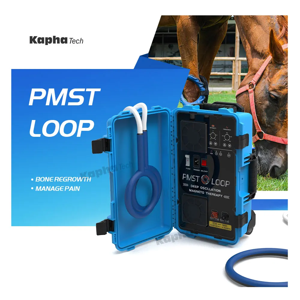 Non-invasive Equine Machine Big Treatment Area Pulse Electromagnetic Field Physiotherapy PMST LOOP