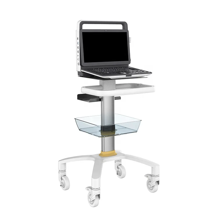 YSB-M30 VET Portable Hifu(high Intensity Focused Ultrasound) 3D 4D Color Doppler Ultrasound Diagnostic Device Equine Ultrasound