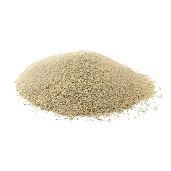 Elevate your Baking Game with Dough Yeast Fermentation: Select Our Prosper Premium Instant Dry Yeast