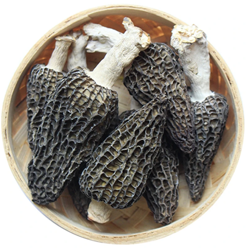 
Edible dried morel mushrooms morchella wild mushroom 