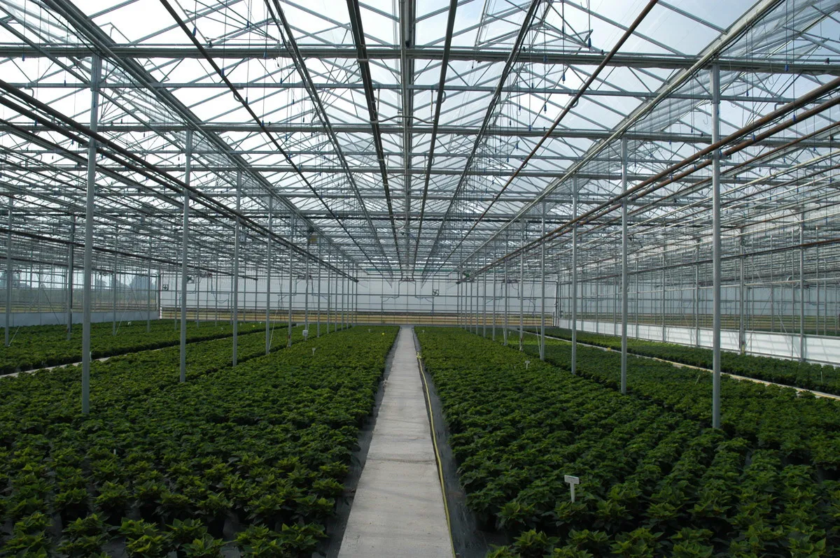 Agricultural Greenhouses And Agriculture Equipment