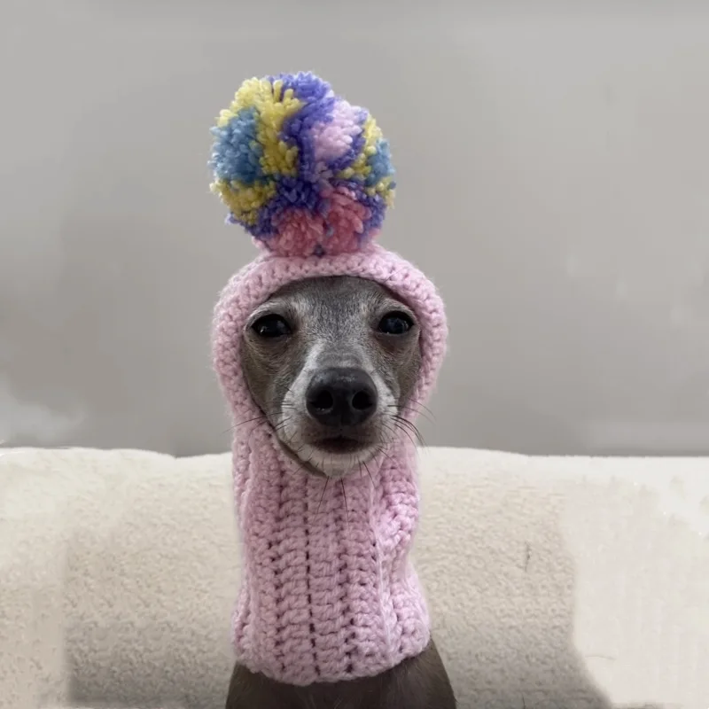 Pet cute halloween hat for dogs hat custom logo woven label handmade winter knitted beanie hat with ball bulldog pet dog pet dog