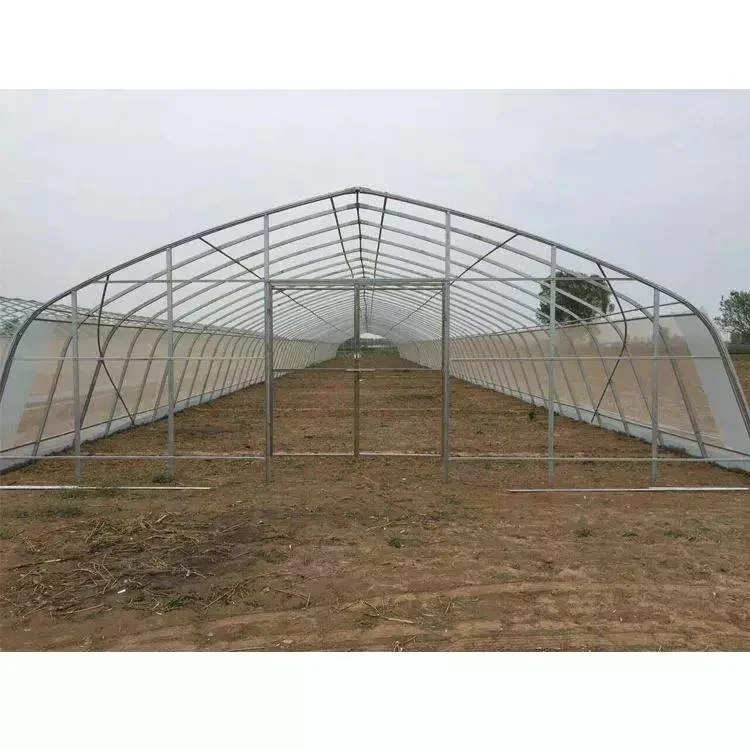 Baolida invernadero size 26ft 100ft plastic PE film high arch tunnel tomato greenhouse