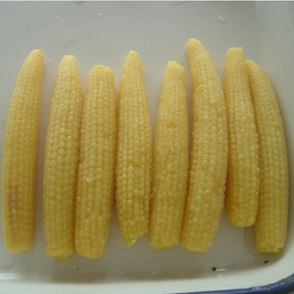 Low Price Canned baby Corn 425g/850g/A10