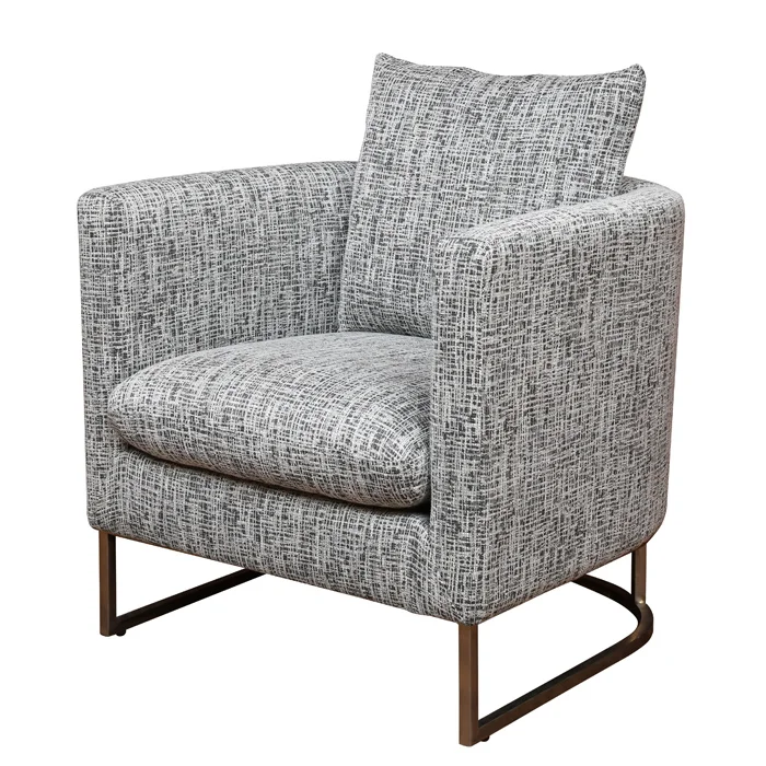 
Metal Fabric Chairs Stainless Steel Occasional Chair Frame Lounge Chairs Modern Leisure For Living Room 