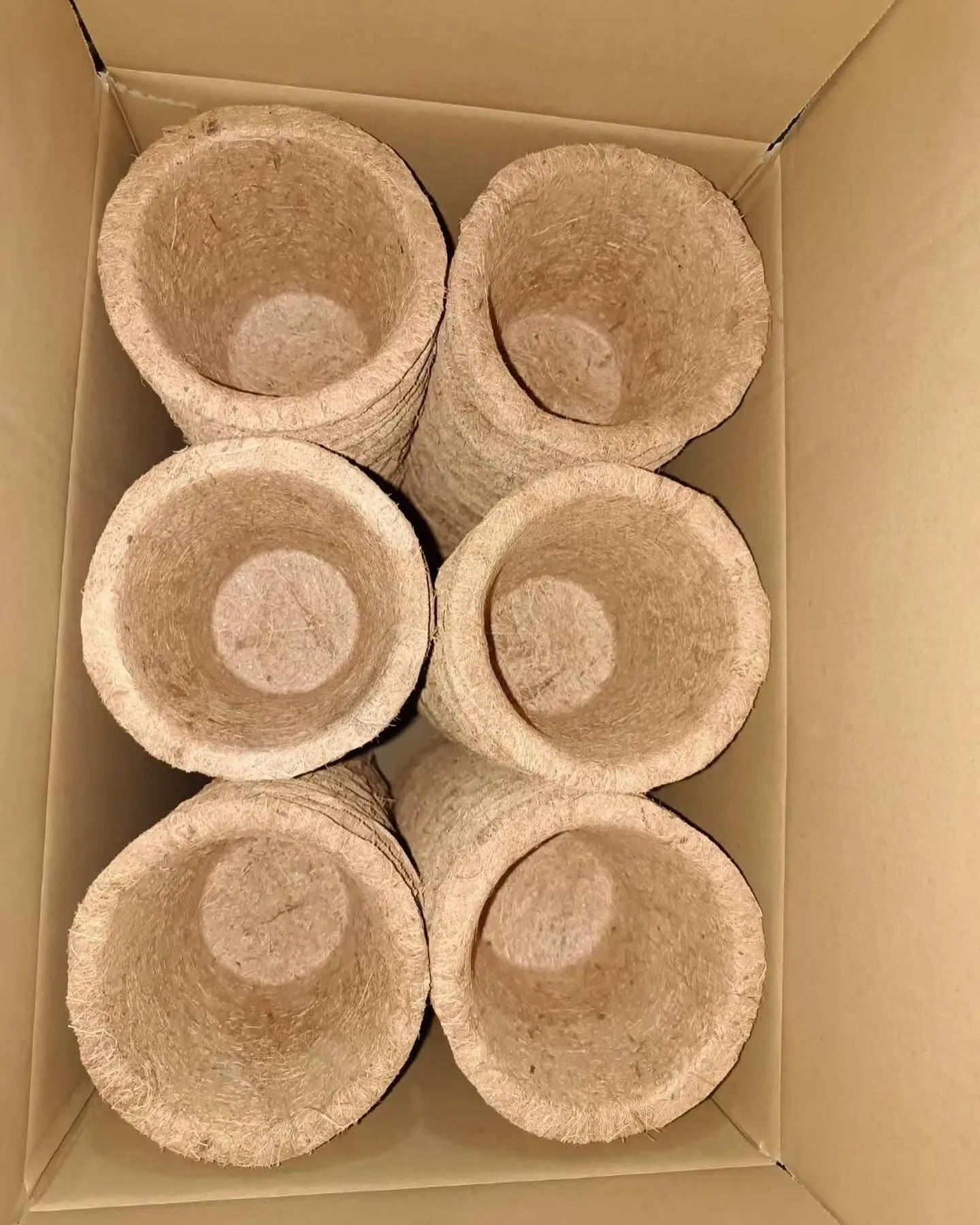 Wholesale 6 inch diameter Biodegradable Seedling Starter Planting peat pots