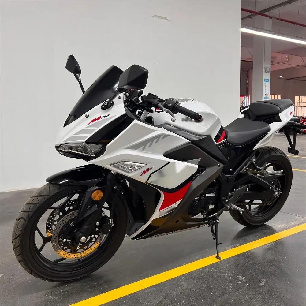 250CC Oil Cooling Double Disc Brake 4 Stroke 1 Cylinder Electric Start High Speed Racing Motorcycle