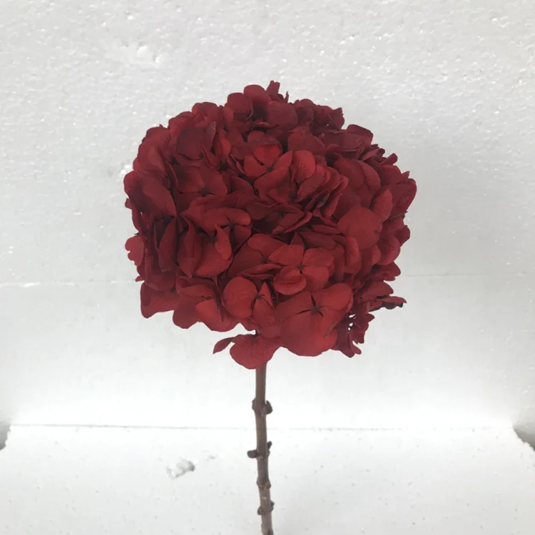 Factory wholesale big leave preserved hydrangea flower for wedding home decoration